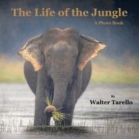 Walter Tarello - Life of the Jungle, Häftad. Tillgänglighet: Lägg i varukorg