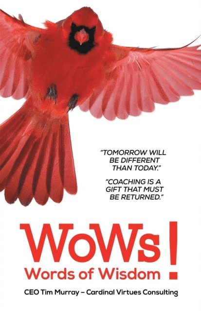 Tim Murray - Ceo Words of Wisdom, E-bok