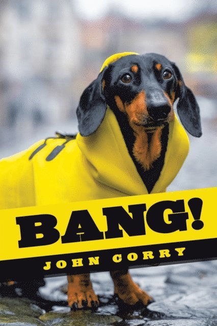 John Corry - Bang!, E-bok
