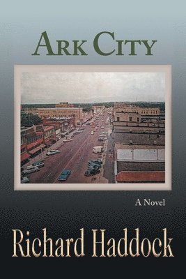 Richard Haddock - Ark City, Häftad