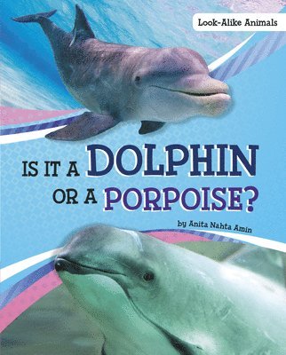 Anita Nahta Amin - Is It a Dolphin or a Porpoise?, Inbunden. Tillgänglighet: Lägg i varukorg
