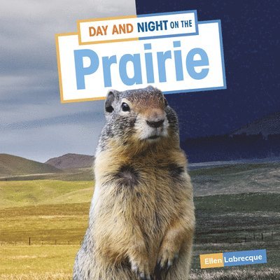 Ellen Labrecque - Day and Night on the Prairie, Inbunden