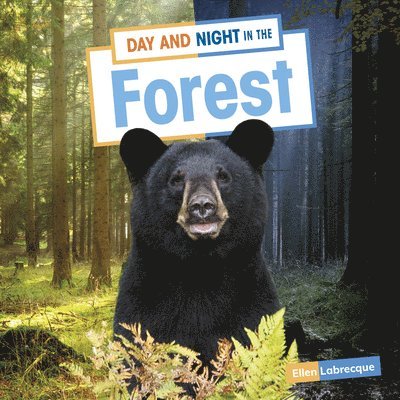 Ellen Labrecque - Day and Night in the Forest, Inbunden