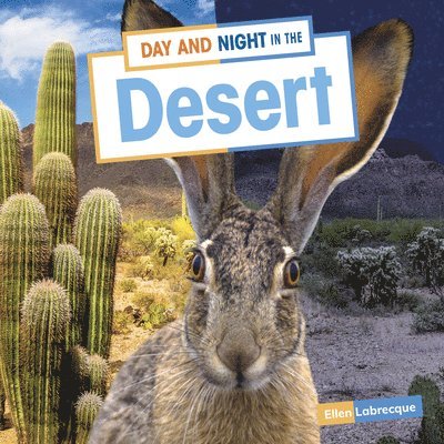 Ellen Labrecque - Day and Night in the Desert, Inbunden