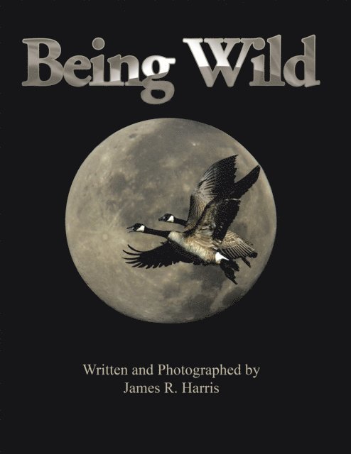 James R. Harris - Being Wild, E-bok