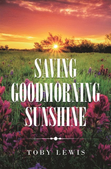 Toby Lewis - Saving Goodmorning Sunshine, E-bok