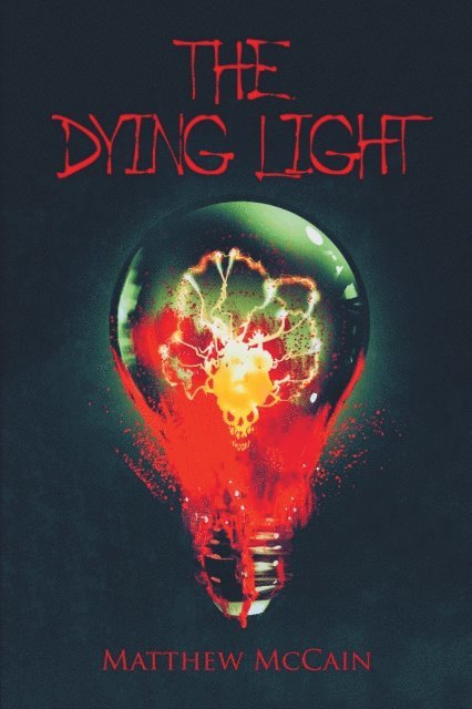Matthew McCain - Dying Light, E-bok