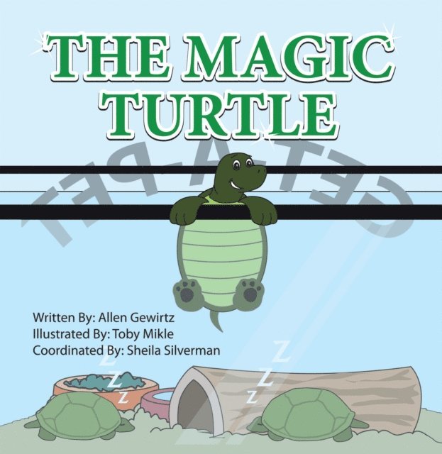 Allen Gewirtz - Magic Turtle, E-bok