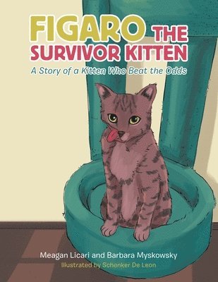 Meagan Licari, Barbara Myskowsky - Figaro the Survivor Kitten, Häftad