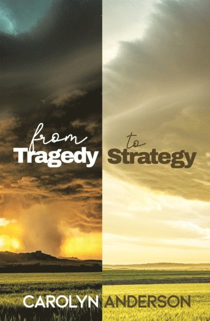 Carolyn Anderson - From Tragedy to Strategy, E-bok