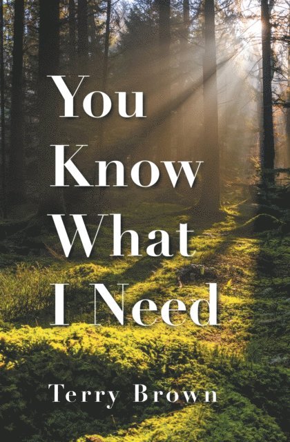 Terry Brown - You Know What I Need, E-bok