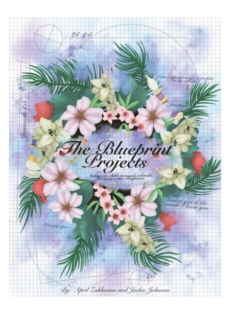 Jackie Johnson, April Zahlmann - Blueprint Projects, E-bok