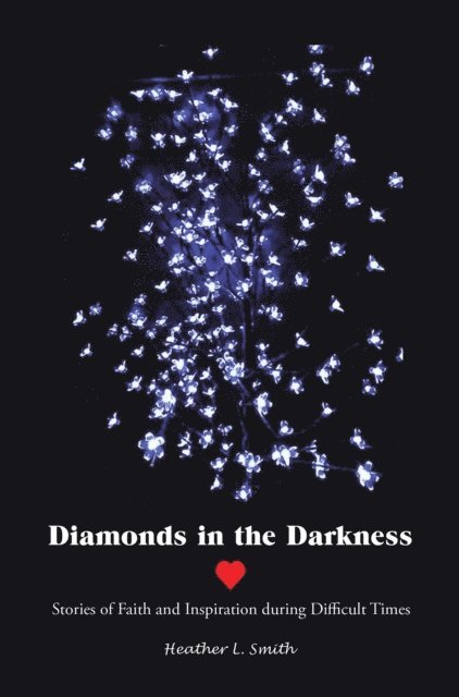 Heather L. Smith - Diamonds in the Darkness, E-bok