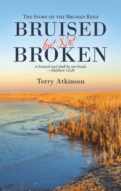 Terry Atkinson - Bruised but Not Broken, E-bok