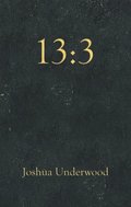 13:3