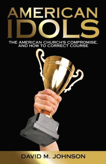 David M. Johnson - American Idols, E-bok
