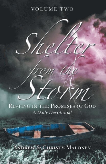 Christy Maloney, Andrew Maloney - Shelter from the Storm, E-bok