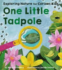 One Little Tadpole: Exploring Nature for Curious Kids