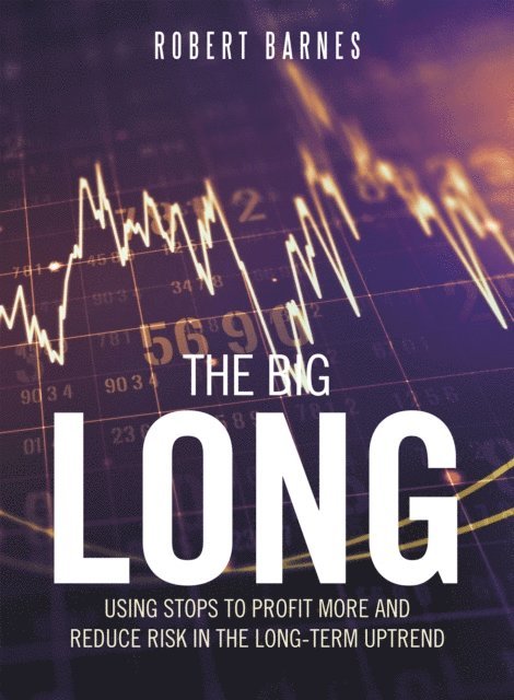 Robert Barnes - Big Long, E-bok