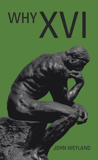 John Weyland - Why Xvi, E-bok