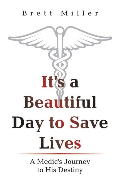 Brett Miller - It's a Beautiful Day to Save Lives, E-bok