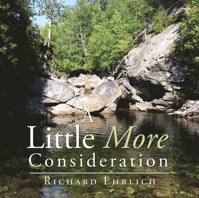 Richard Ehrlich - Little More Consideration, E-bok