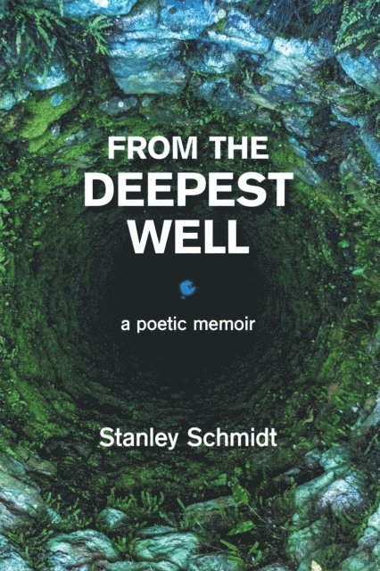 Stanley Schmidt - From the Deepest Well, E-bok