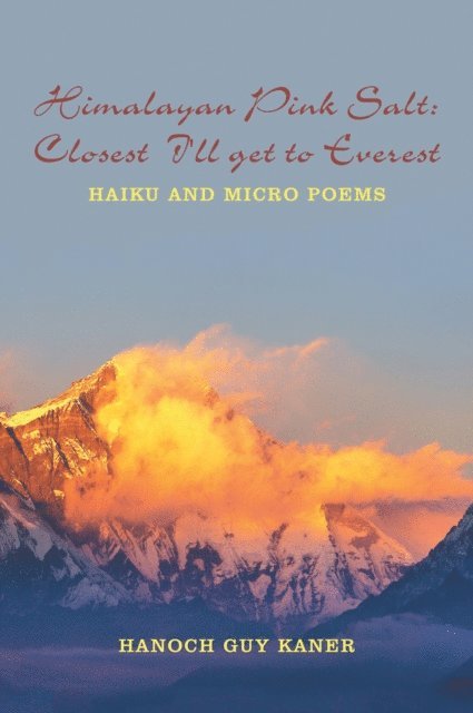 Hanoch Guy Kaner - Himalayan Pink Salt: Closest  I'll Get to Everest, E-bok