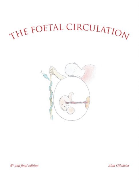 Alan Gilchrist - Foetal Circulation, E-bok