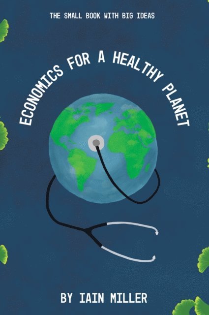 Iain Miller - Economics for a Healthy Planet, E-bok