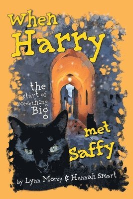 Lynn Morsy, Hannah Smart - When Harry Met Saffy, Häftad