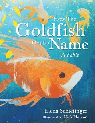 Elena Schietinger - How the Goldfish Got Its Name, Häftad. Tillgänglighet: Lägg i varukorg