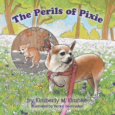 Perils of Pixie