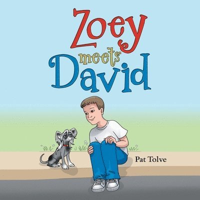Zoey Meets David - Zoey Meets David, Häftad. Tillgänglighet: Lägg i varukorg