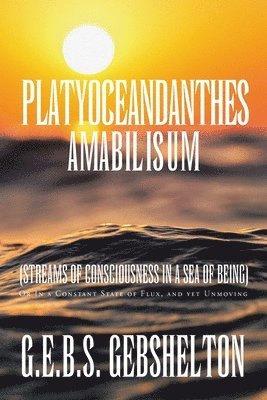 G E B S Gebshelton - Platyoceandanthes amabilisum (Streams of Consciousness in a Sea of Being), Häftad. Tillgänglighet: Lägg i varukorg