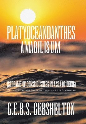 G E B S Gebshelton - Platyoceandanthes amabilisum (Streams of Consciousness in a Sea of Being), Inbunden. Tillgänglighet: Lägg i varukorg