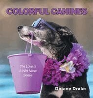 Delane Drake - Colorful Canines, Inbunden. Tillgänglighet: Tillfälligt slut
