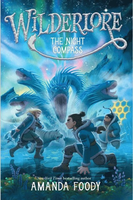 Amanda Foody - Night Compass, E-bok