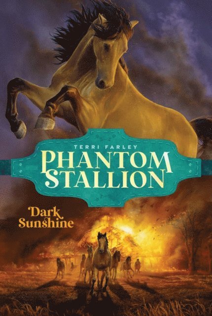 Terri Farley - Dark Sunshine, E-bok
