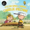 It's the Small Things, Charlie Brown!