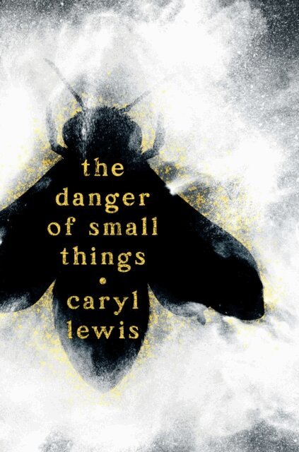 Caryl Lewis - Danger of Small Things, E-bok. Tillgänglighet: Lägg i varukorg