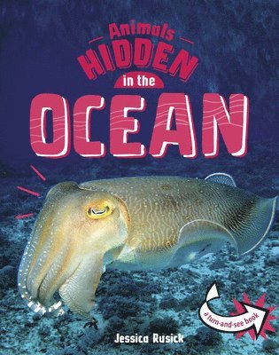 Jessica Rusick - Animals Hidden in the Ocean, Inbunden