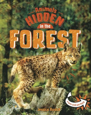 Jessica Rusick - Animals Hidden in the Forest, Inbunden