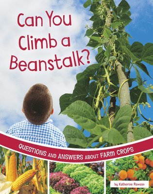 Katherine Rawson - Can You Climb a Beanstalk?: Questions and Answers about Farm Crops, Inbunden. Tillgänglighet: Lägg i varukorg
