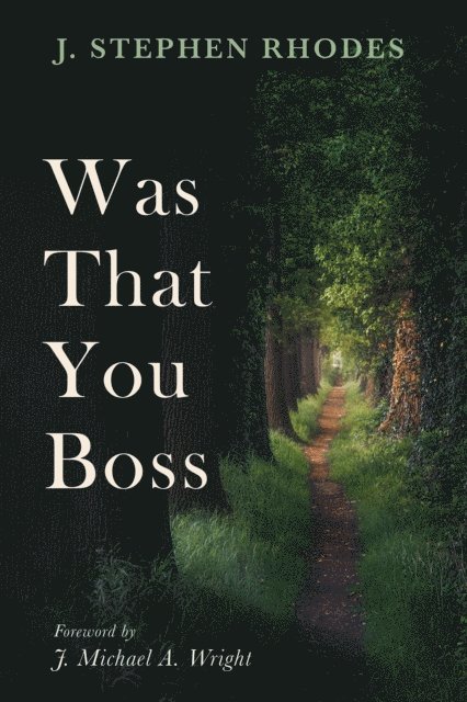 J. Stephen Rhodes - Was That You Boss, E-bok