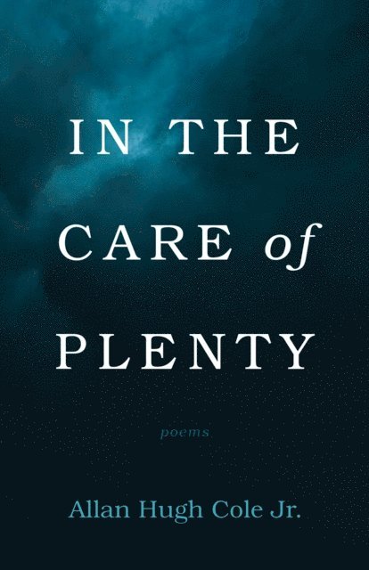 Allan Hugh Cole Jr. - In the Care of Plenty, E-bok