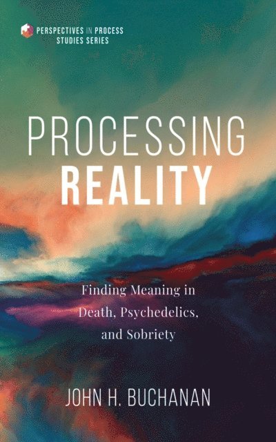 John H. Buchanan - Processing Reality, E-bok