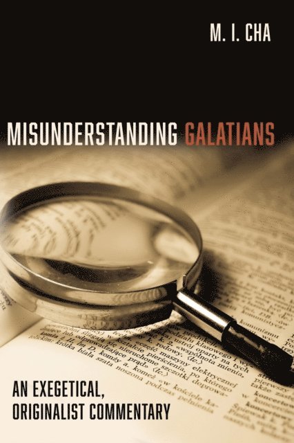 M. I. Cha - Misunderstanding Galatians, E-bok