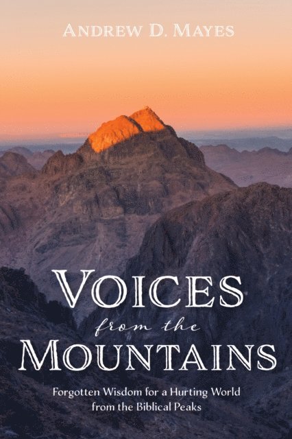Andrew D. Mayes - Voices from the Mountains, E-bok