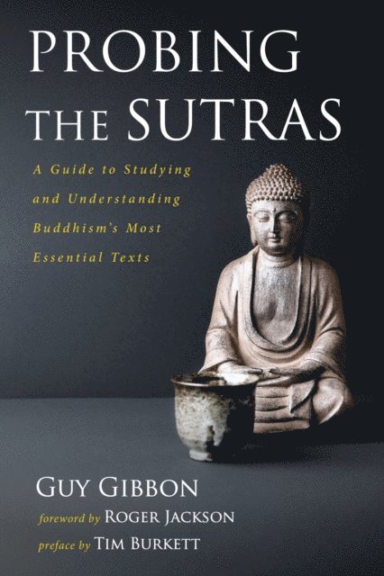 Guy Gibbon - Probing the Sutras, E-bok